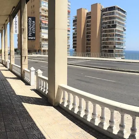 Gafner 4 Bajo Alicante